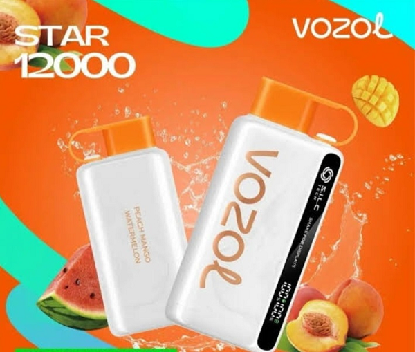 VOZOL DISPOSABLE STAR 12000 PUFFS     - rezk vape